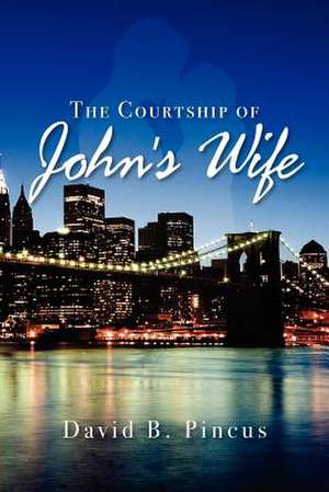 The Courtship of Johns' Wife de MR David B. Pincus