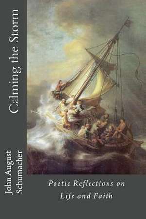 Calming the Storm de John August Schumacher