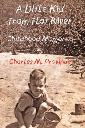 A Little Kid from Flat River de Charles M. Province