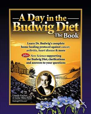 Day in the Budwig Diet: The Book: Learn Dr Budwigs Complete Home Healing Protocol Against Cancer, Arthritis, Heart Disease & More de Ursula Escher