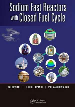 Sodium Fast Reactors with Closed Fuel Cycle de Baldev Raj