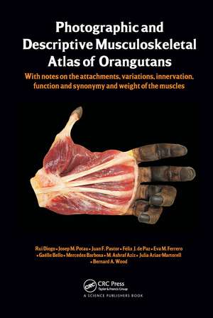 Photographic and Descriptive Musculoskeletal Atlas of Orangutans: with notes on the attachments, variations, innervations, function and synonymy and weight of the muscles de Rui Diogo