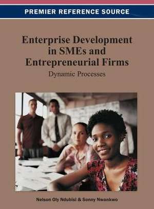 Enterprise Development in Smes and Entrepreneurial Firms de Ndubisi