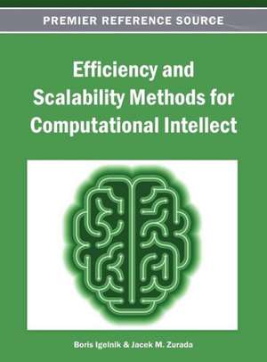 Efficiency and Scalability Methods for Computational Intellect de Boris Igelnik