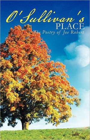 O'Sullivan's Place de Joe Robert