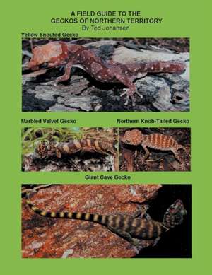 A Field Guide to the Geckos of Northern Territory de Ted Johansen