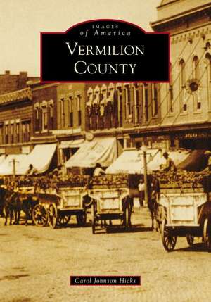 Vermilion County de Carol Johnson Hicks