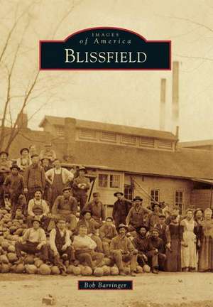 Blissfield de Bob Barringer