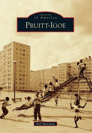 Pruitt-Igoe de Bob Hansman