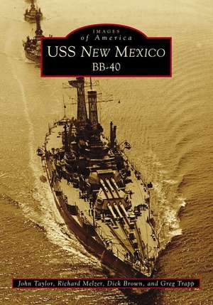 USS New Mexico Bb-40 de John Taylor