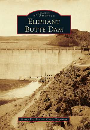 Elephant Butte Dam de Cindy Carpenter