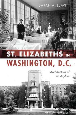 St Elizabeths in Washington, D.C. de Sarah A Leavitt