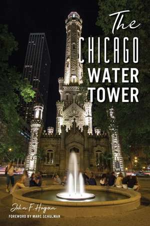 Chicago Water Tower de John F Hogan