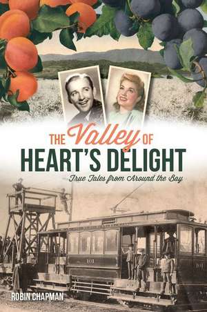 The Valley of Heart's Delight de Robin Chapman