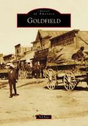 Goldfield de Ted Faye