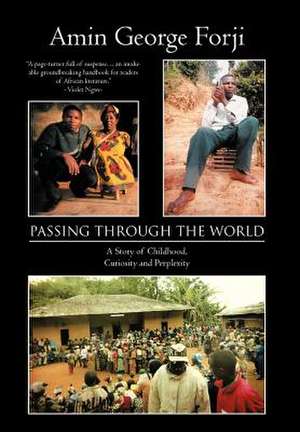 Passing Through the World de Amin George Forji