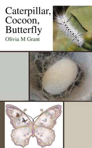 Caterpillar, Cocoon, Butterfly de Olivia M. Grant