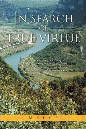 In Search of True Virtue de Maths