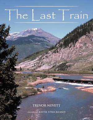 The Last Train de Trevor Nevett