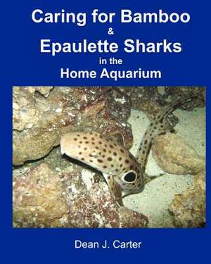 Caring for Bamboo and Epaulette Sharks in the Home Aquarium de Dean J. Carter