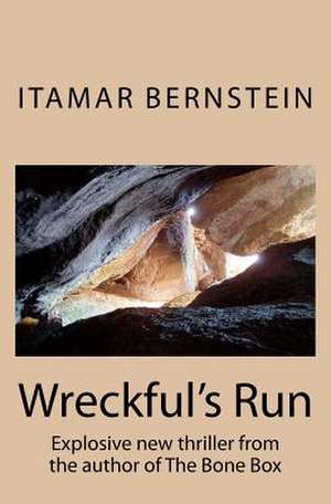 Wreckful's Run de Itamar Bernstein