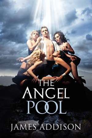 The Angel Pool de James Addison