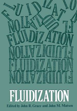 Fluidization: International Fluidization Conference de John M. Matsen