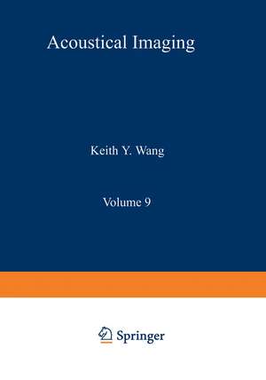 Acoustical Imaging: Visualization and Characterization de Keith Wang