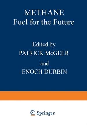 Methane: Fuel for the Future de Enoch Durbin