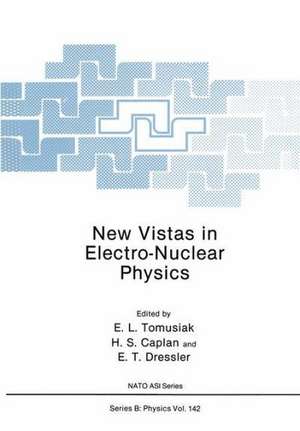 New Vistas in Electro-Nuclear Physics de Edward L. Tomusiak