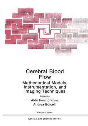 Cerebral Blood Flow: Mathematical Models, Instrumentation, and Imaging Techniques de Andrea Boicelli