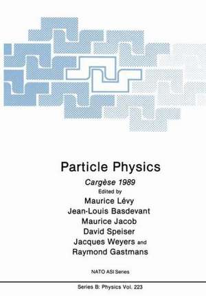 Particle Physics: Cargèse 1989 de Maurice Lévy