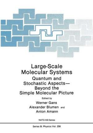 Large-Scale Molecular Systems: Quantum and Stochastic Aspects—Beyond the Simple Molecular Picture de Werner Gans