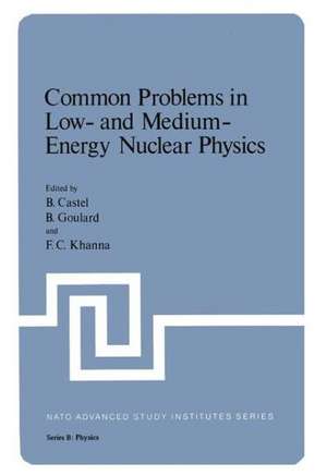 Common Problems in Low- and Medium-Energy Nuclear Physics de B. Castel