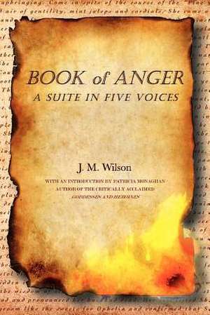 Book of Anger de J. M. Wilson