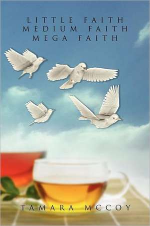 Little Faith, Medium Faith, Mega Faith de Tamara McCoy