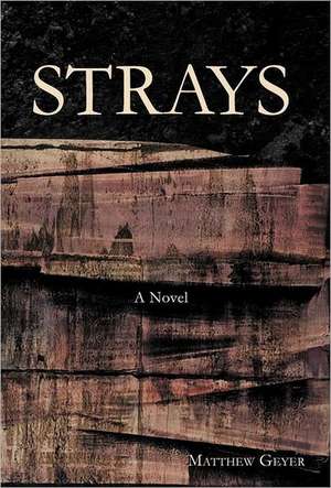 Strays de Matthew Geyer