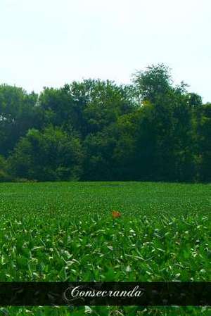 Consecranda de Rev a. J. Schulte