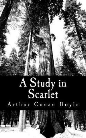 A Study in Scarlet de Arthur Conan Doyle