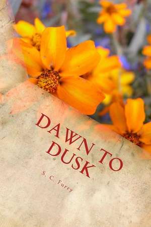 Awaken the Dawn, One Woman's Story, Peculiar and Uniquely Shared de Furry, Suzi