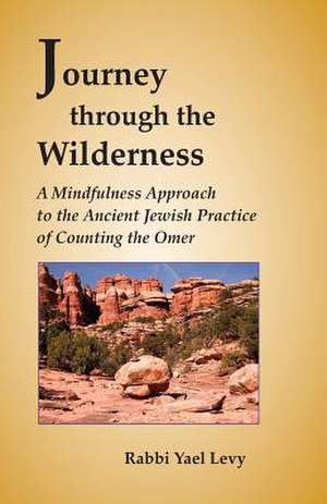 Journey Through the Wilderness de Rabbi Yael Levy