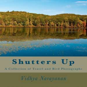 Shutters Up de Vidhya Narayanan