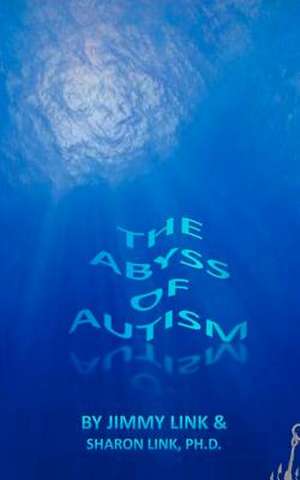 The Abyss of Autism de Dr Sharon Link