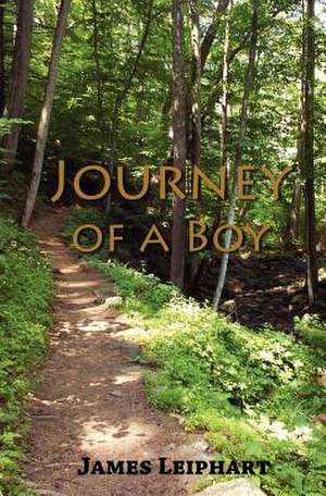 Journey of a Boy de James Leiphart