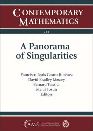 Panorama of Singularities