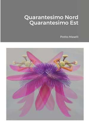 Quarantesimo Nord Quarantesimo Est de Potito Maselli