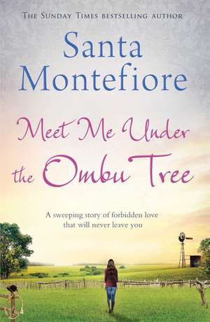 Meet Me Under the Ombu Tree de Santa Montefiore