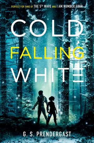 Cold Falling White de Gabrielle Prendergast