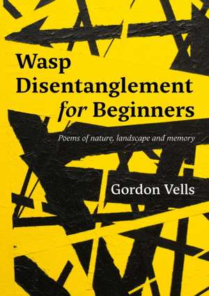 Wasp Disentanglement for Beginners de Gordon Vells