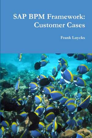 SAP Bpm Framework: Customer Cases de Frank Luyckx